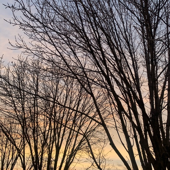 Meet your Posher, Ebany - Picture 1 of 1